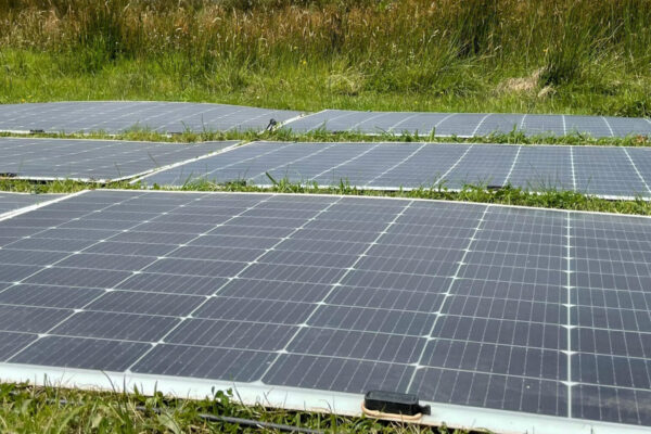 7b396406-c7ef-4192-a384-8454665daf9b